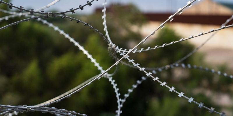 Ukraine will give Lithuania barbed wire for a wall on the border with Belarus
