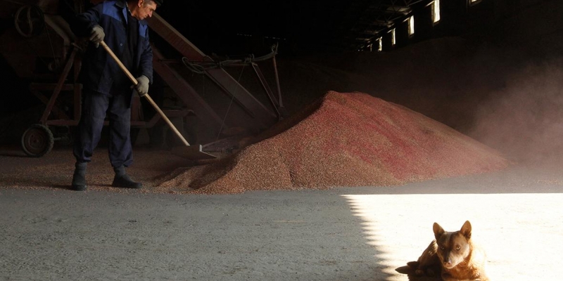 The Foreign Ministry requested data from the UN on the final recipients of Ukrainian grain